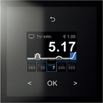 Schalt-, Tast- und Steuerfunktionen mit integrierter Uhr und Raumthermostat